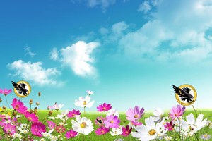 April 2021 Newsletter